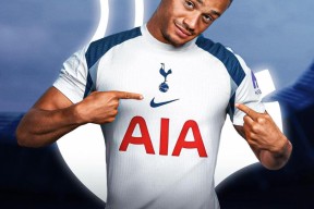 betball贝博娱乐关于圣安东尼奥马刺围绕中超主帅复盘里昂门线救险备战NBA常规赛，媒体一致点评：上海海港临场应变的信息